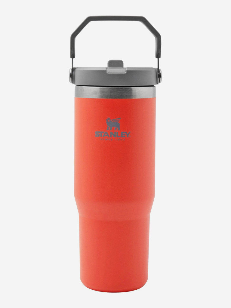 Термокружка Stanley IceFlow Flip Straw с откидной соломинкой, 890 мл