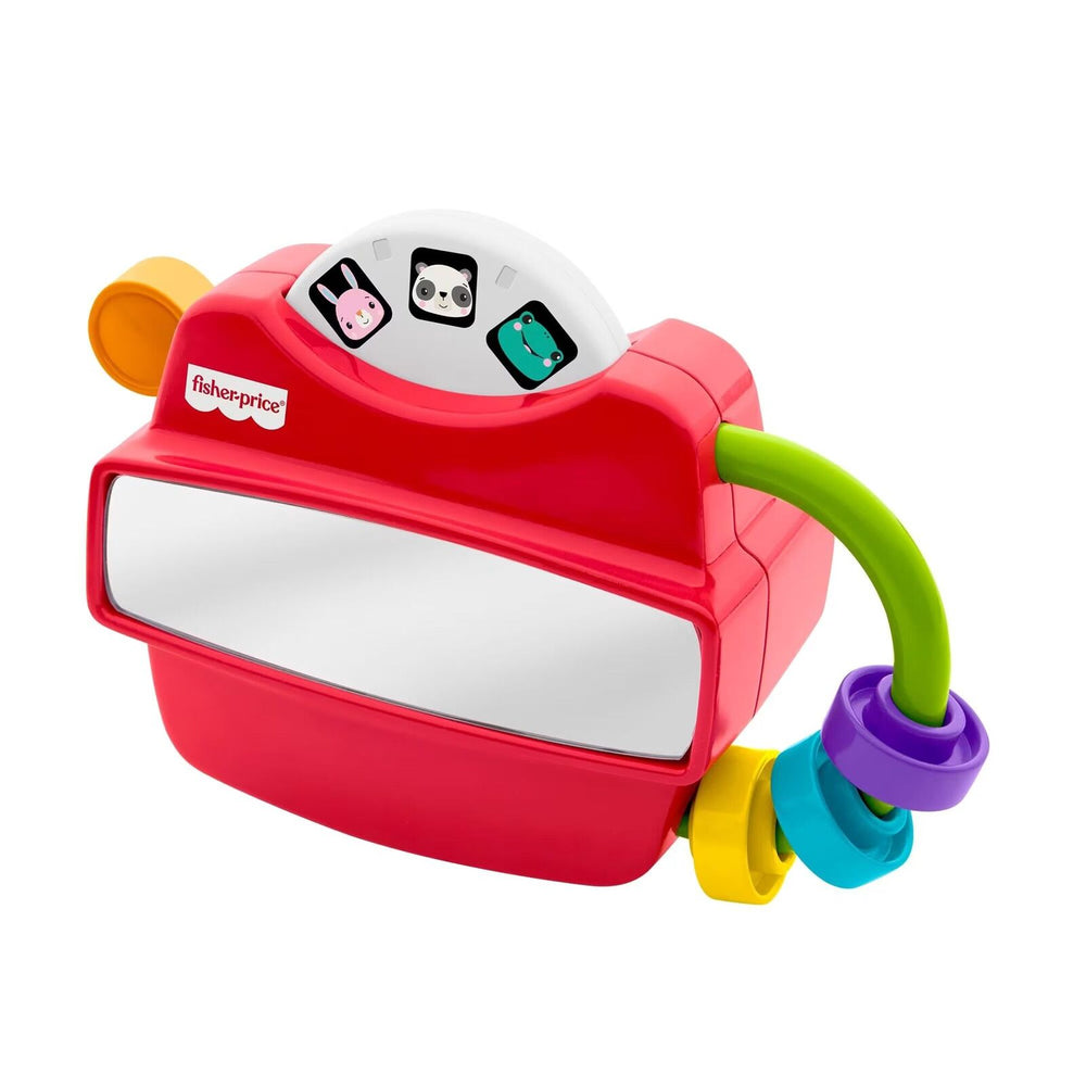 Rivojlantiruvchi o'yinchoq Fisher-Price Fidget Activity Viewer 6 oylikdan